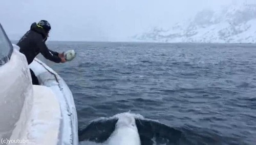 �ܡ���ͷ�Ӥ�ڤ��ॷ�����륫02