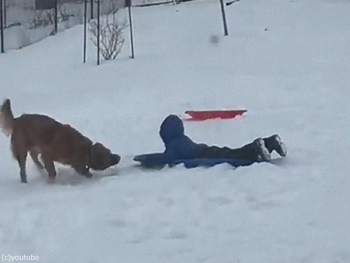 ���������Ƥ���르����ǥ��ȥ�С�02