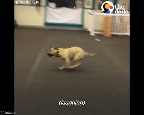 ピザが好きすぎて06