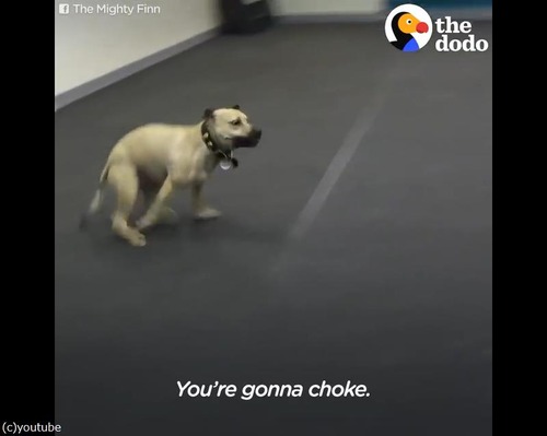 ピザが好きすぎて04