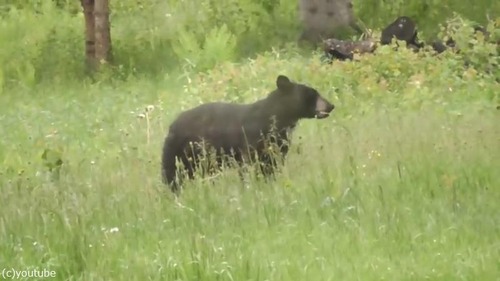 ������̿�Υ����󥯤����ޤ���ह��ִ�01