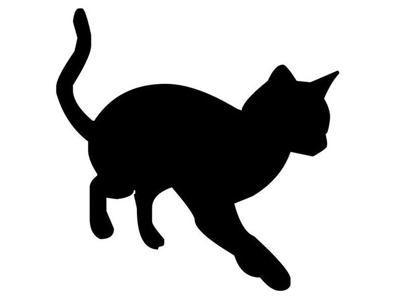 うちの子猫が座る場所は なぜそこなの 理解不能だけどかわいい写真 らばq うちの子猫が座る場所は なぜそこなの 理解不能だけどかわいい写真 らばq