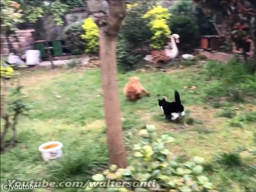 �������줵���ʤ�ǭvs���ꤿ����06