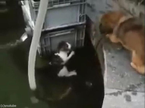 Ů��Ƥ���ǭ��߽Ф��븤00