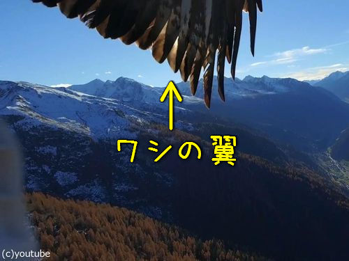 �ɥ����󡢥����˽�����00