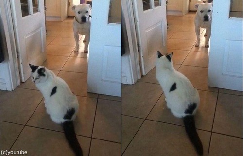 ǭ���ݤ����̤�ʤ���04