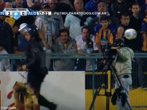 サッカーと警察犬06