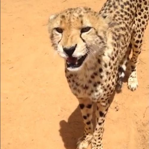 ����������ǭ�ʤ���02