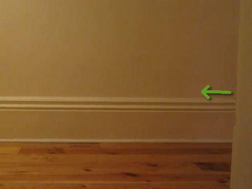 猫が横切った01