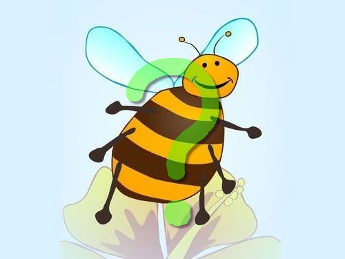 ミツバチのコスチューム00
