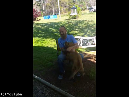 入院していた飼い主と感動の再会04