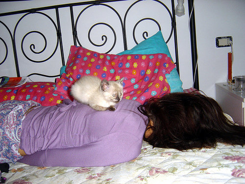 ペットと寝る理想と現実08