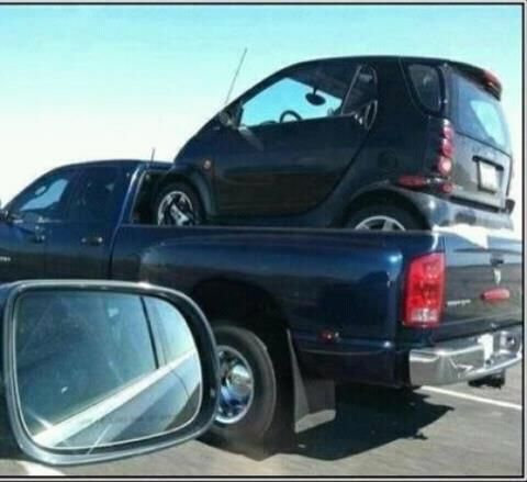 カモメの上にカモメ04