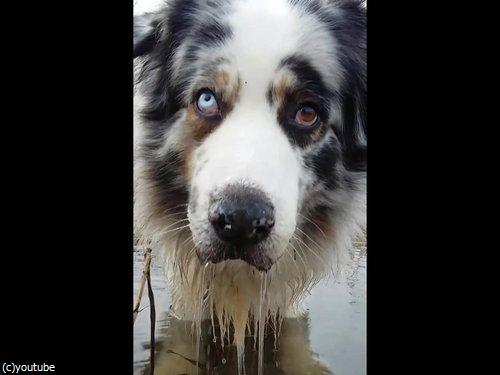 ֿʹ֤ξФˤϤ³ʤ07