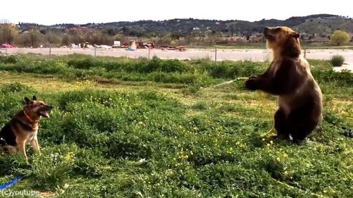 ��ͷ�Ӥ�ڤ��෧�ȸ�03