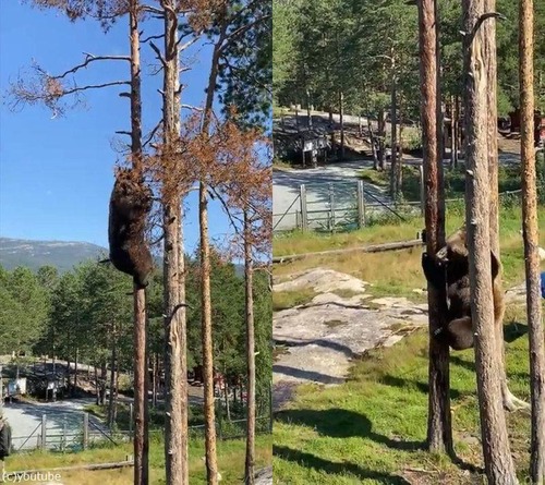 ���ޤ����Ф�ǽ��02