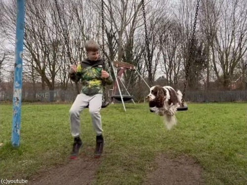 ブランコに自分で乗り込む犬…飼い主の少年と並んでユラユラ（動画）