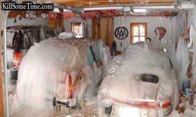 窓を閉め忘れてました02