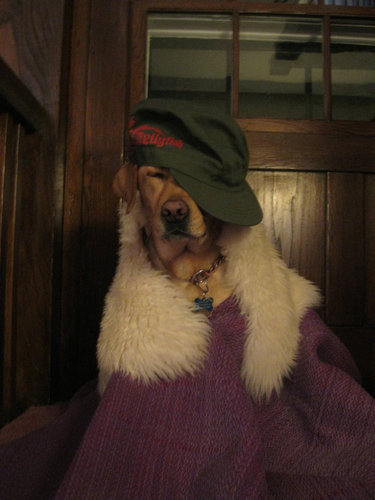 6歳の娘が犬をモデルにして写真01