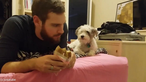 �ߤ����äƤ뤳�Ȥ򱣤���01