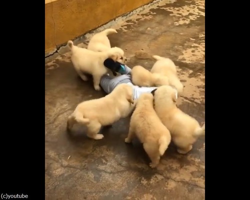 ����ʹ����ʸ��ʤä�¾�ˤ��롩04