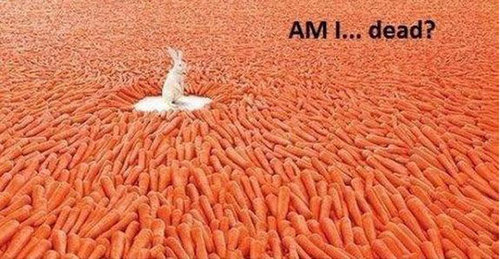 �����򴶤���16