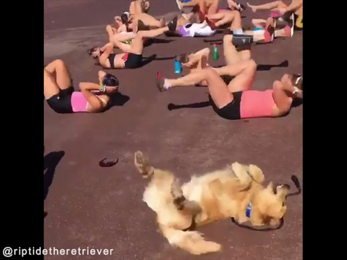 �ȥ졼�˥󥰤�����������β���02