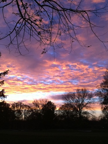 携帯カメラ撮影05