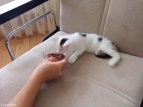 ��ǭ���ܤ����Τ��Ϥ���ܤ�Фޤ�03