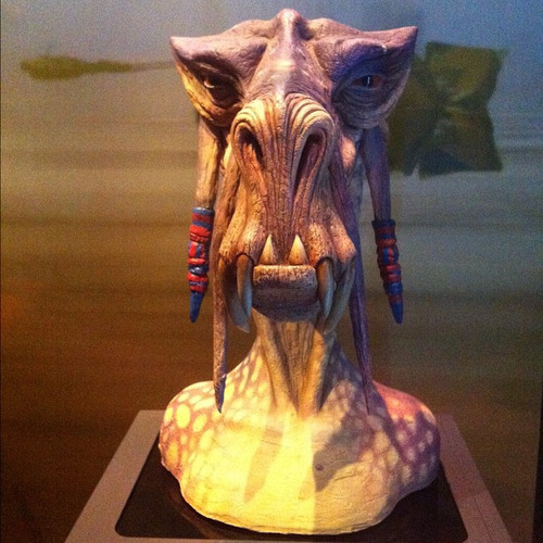 ウマヅラコウモリ04