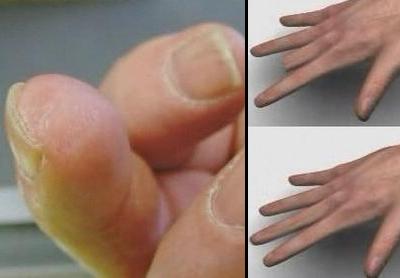 ����������TOP