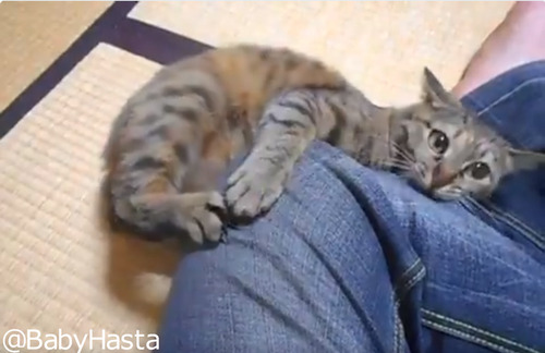 ダメージジーンズ製造工場03