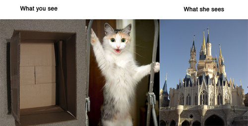 動物に見えるもの01