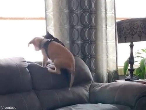 �����Ȥฤ��ǭ02