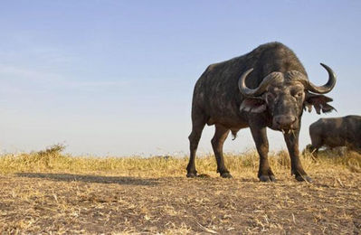 �ӡ��ȥ륫���12