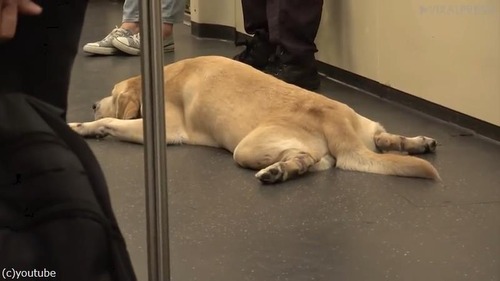 ���������ϲ�Ŵ�ǥ��å���05