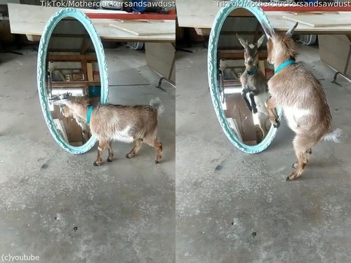 �����臘�ҥ䥮02