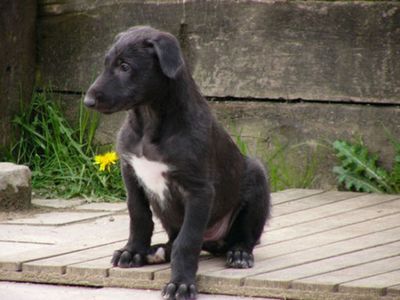 ������Ĺ07