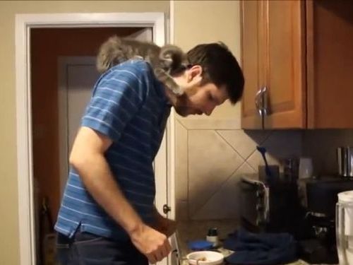 子猫が乗っかってご飯の準備ができない01