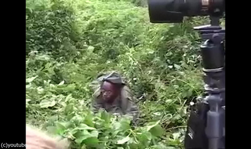 ゴリラの撮影05