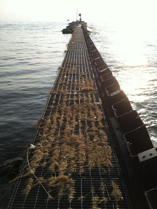 イギリスのギターショップ03