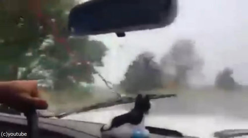 車のワイパーが壊れたとき…予想もしなかった解決策03