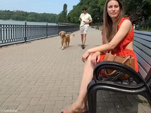 愛犬が気付くか実験…散歩コースのベンチに飼い主が座っていたら（動画）