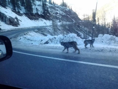 日常では見ることのない光景 022