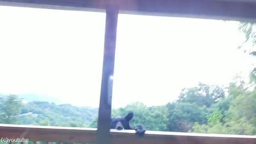 ���ޤäƤ���ʹ⤤���ˤ��������05