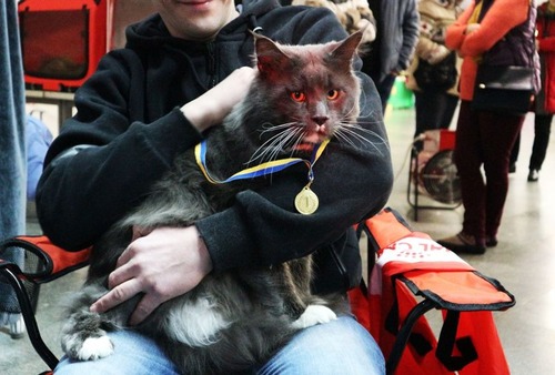 ¥¦¥¯¥é¥¤¥Ê¤Î¤Ç¤Ã¤«¤¤Ç¥³¥ó¥Æ¥¹¥È02