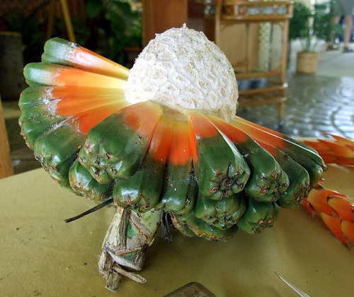 ハラフルーツ02