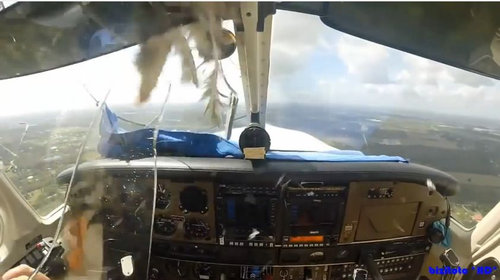 バードストライクで飛行機のフロントが吹っ飛ぶ03