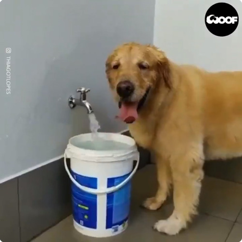 ����ʤ˹������Ƥ����...����˿�����������03