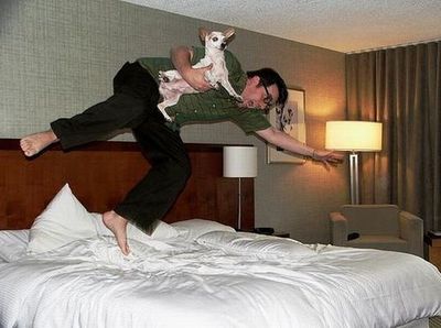 ふかふかのベッド14